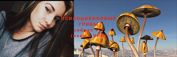 гидропоника Волоколамск